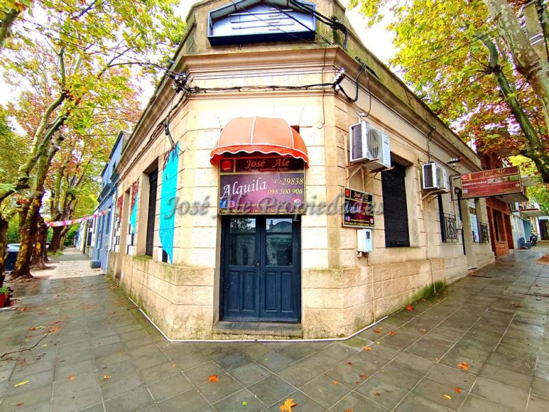 Local Comercial ubicado en pleno centro de Colonia del Sacramento, a solo metros de BQB y terminal de ómnibus.