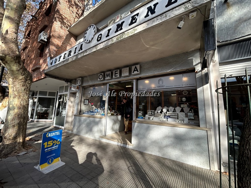 Imagen 10 de PROPONGA. A ingresado a nuestra cartera de ventas, la extraordinaria y destacada mercadería de Importante negocio con muchos años de trayectoria.