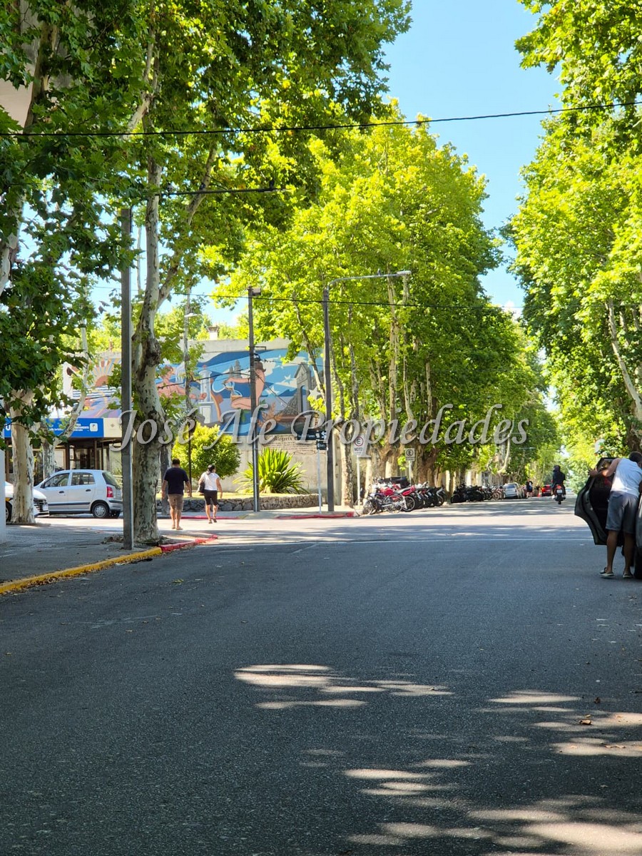 Imagen 3 de Llave de local de Carnicería, ubicada a metros de Av Principal Gral Flores, Colonia.
