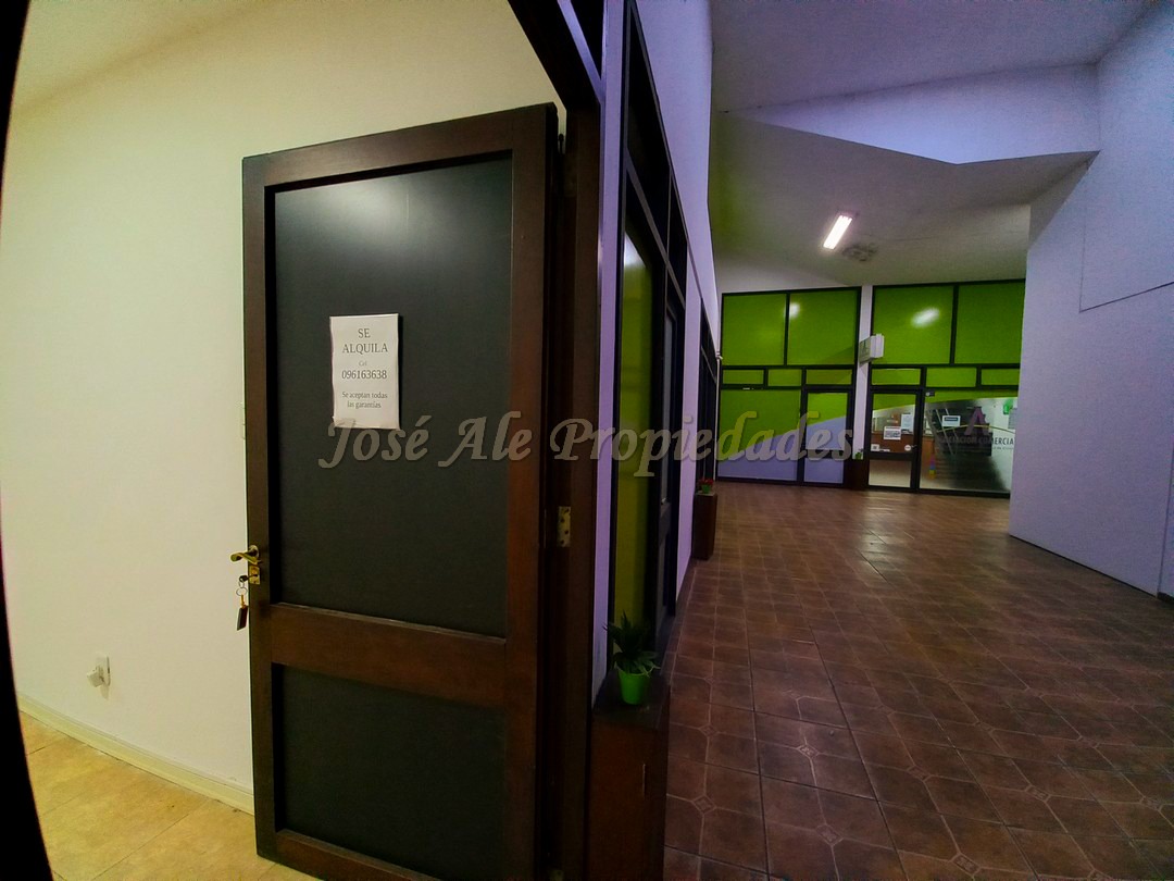 Imagen 7 de Local comercial en Galerías América en pleno centro de la ciudad de Colonia del Sacramento