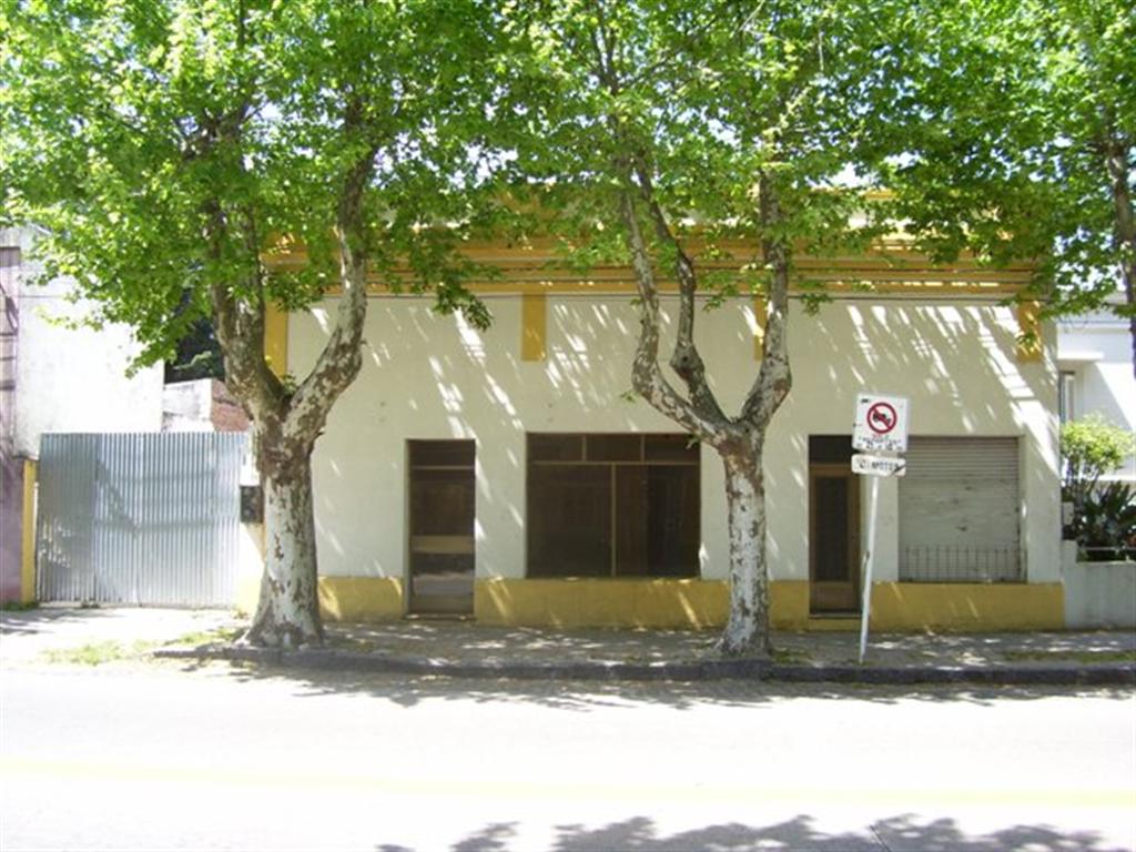 Imagen 1 de Casa con local comercial sobre avenida principal y amplio terreno.