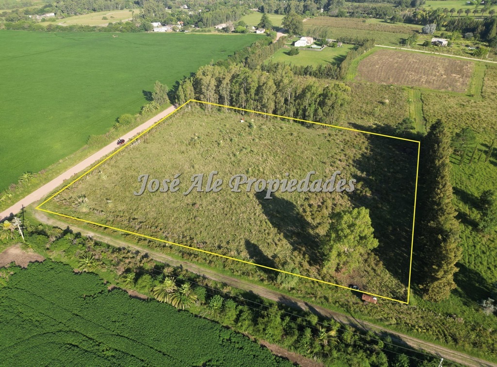 Imagen 1 de EN VENTA Hermosa hectárea, se encuentra ubicada a 200m de la Ruta Nacional nº1, a la altura del Embarcadero de Riachuelo.