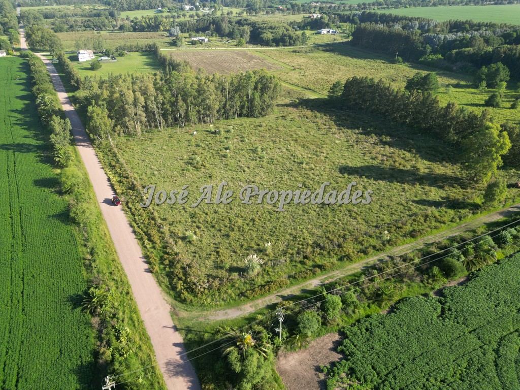 Imagen 3 de EN VENTA Hermosa hectárea, se encuentra ubicada a 200m de la Ruta Nacional nº1, a la altura del Embarcadero de Riachuelo.