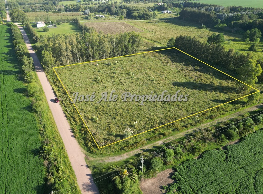 Imagen 4 de EN VENTA Hermosa hectárea, se encuentra ubicada a 200m de la Ruta Nacional nº1, a la altura del Embarcadero de Riachuelo.