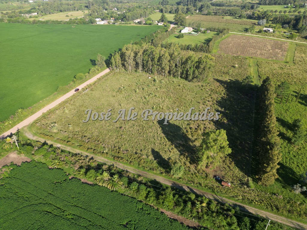 Imagen 5 de EN VENTA Hermosa hectárea, se encuentra ubicada a 200m de la Ruta Nacional nº1, a la altura del Embarcadero de Riachuelo.