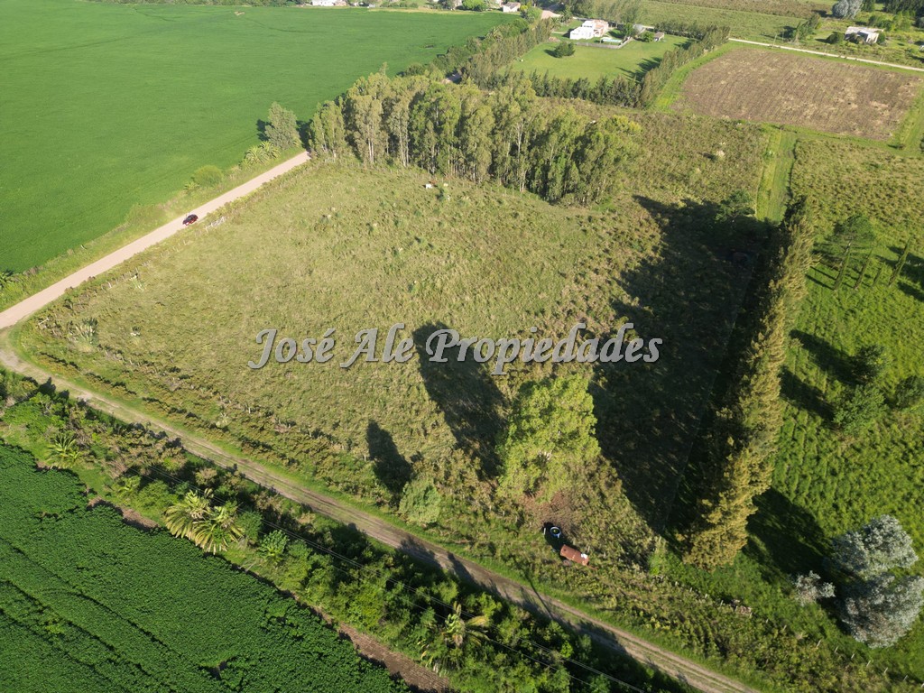 Imagen 6 de EN VENTA Hermosa hectárea, se encuentra ubicada a 200m de la Ruta Nacional nº1, a la altura del Embarcadero de Riachuelo.