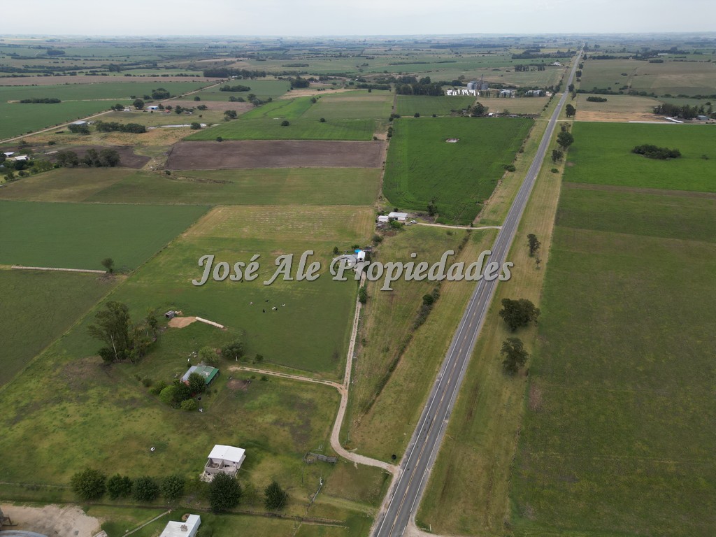 Imagen 5 de Campo de 9 HA ubicado en la ciudad de Tarariras