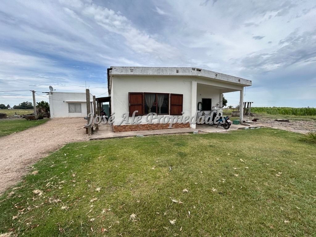 Imagen 7 de Campo de 9 HA ubicado en la ciudad de Tarariras