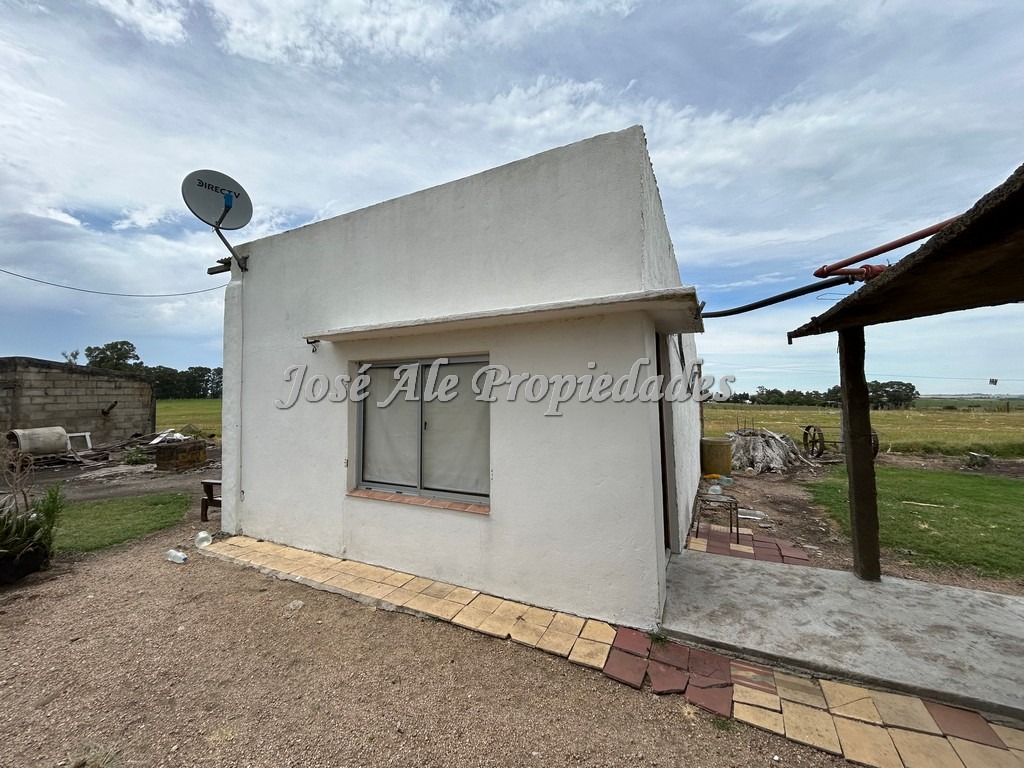 Imagen 8 de Campo de 9 HA ubicado en la ciudad de Tarariras