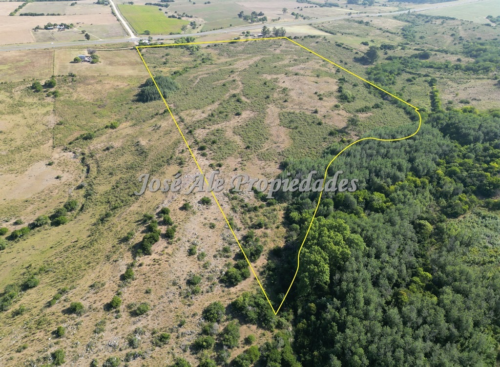 Imagen 1 de Campo de 19 HA ubicado en el km 130 de la Ruta Nacional nº1, Colonia.