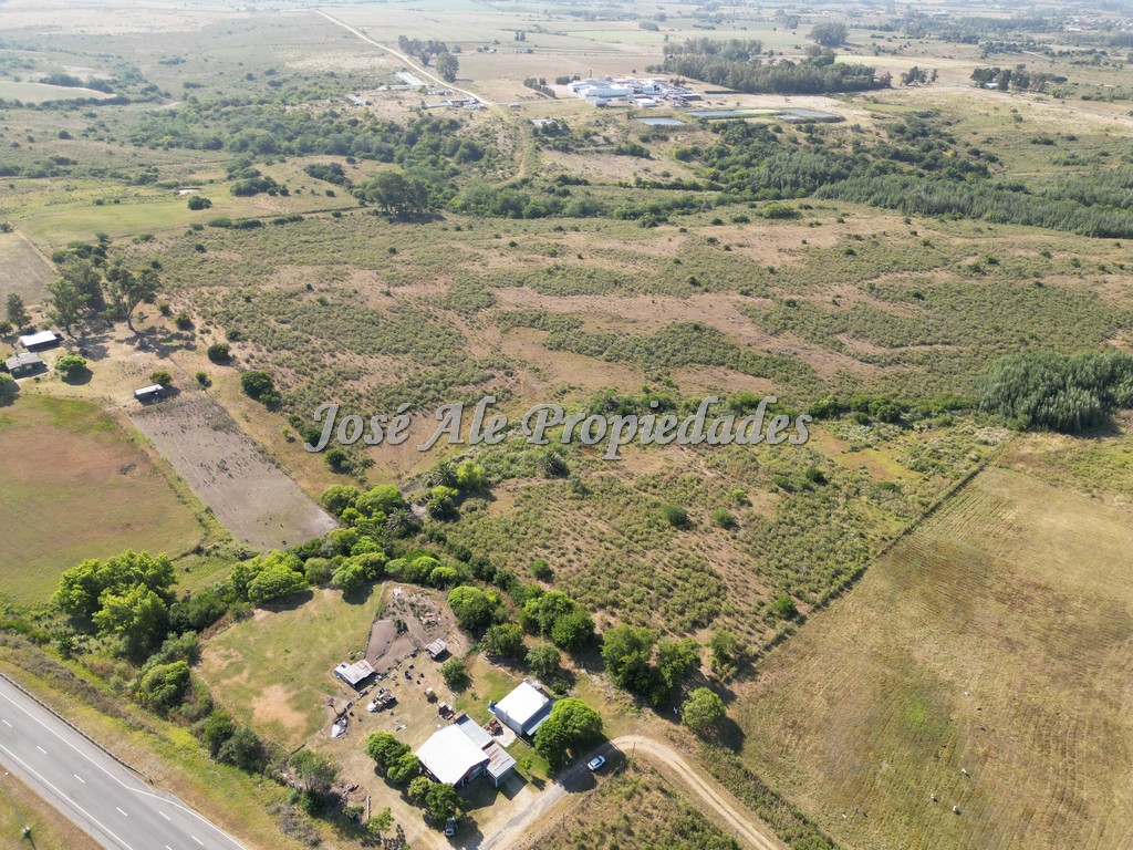 Imagen 2 de Campo de 19 HA ubicado en el km 130 de la Ruta Nacional nº1, Colonia.