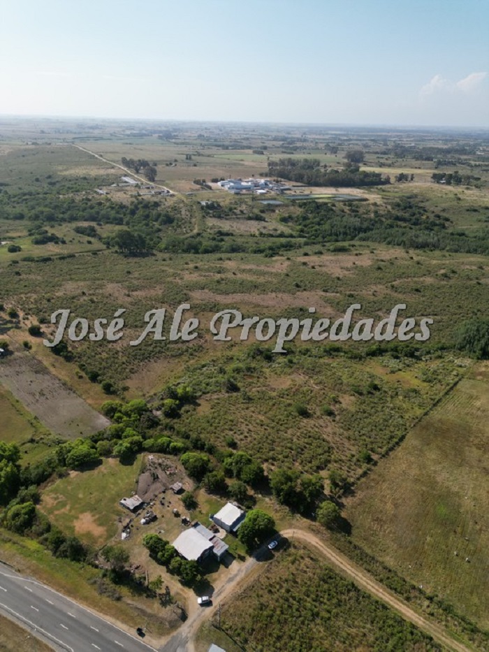 Imagen 4 de Campo de 19 HA ubicado en el km 130 de la Ruta Nacional nº1, Colonia.