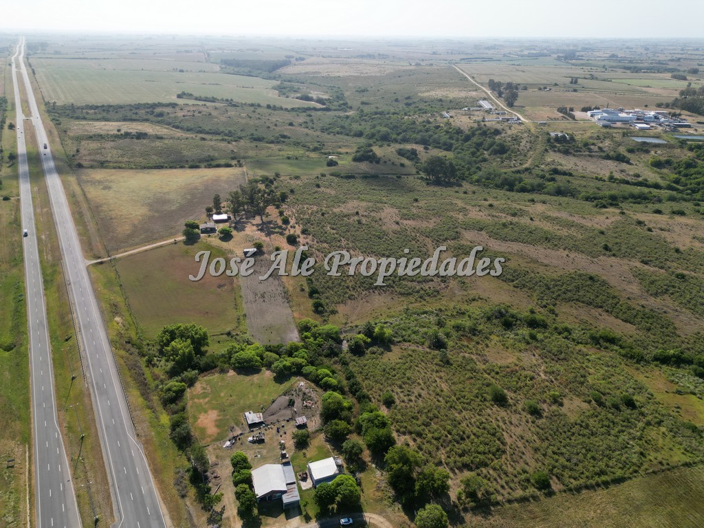 Imagen 6 de Campo de 19 HA ubicado en el km 130 de la Ruta Nacional nº1, Colonia.