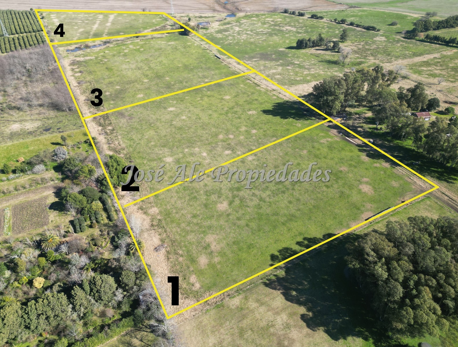 Imagen 2 de 4 Lotes de 3 hectáreas c/u sobre Ruta 21, Colonia.