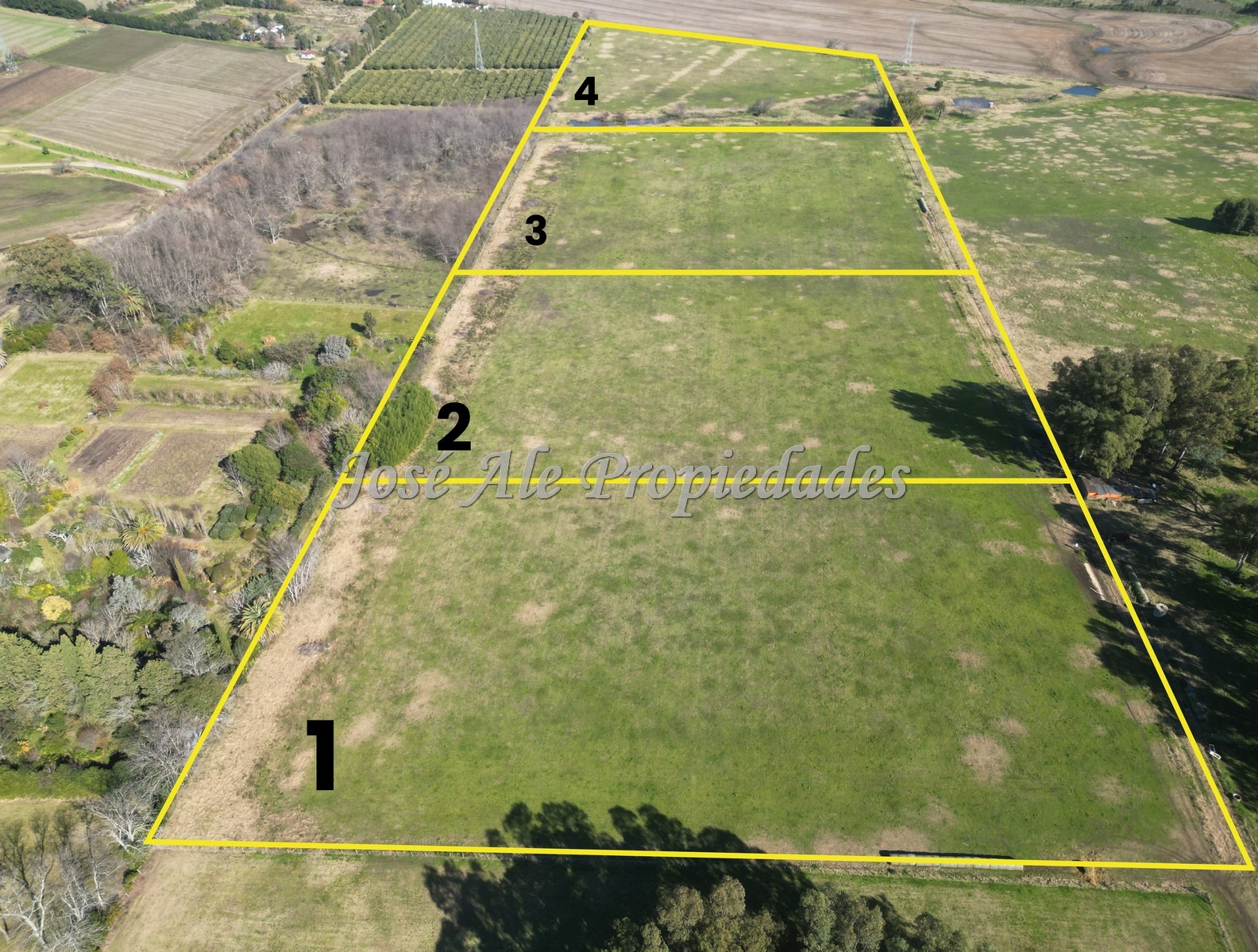 Imagen 3 de 4 Lotes de 3 hectáreas c/u sobre Ruta 21, Colonia.