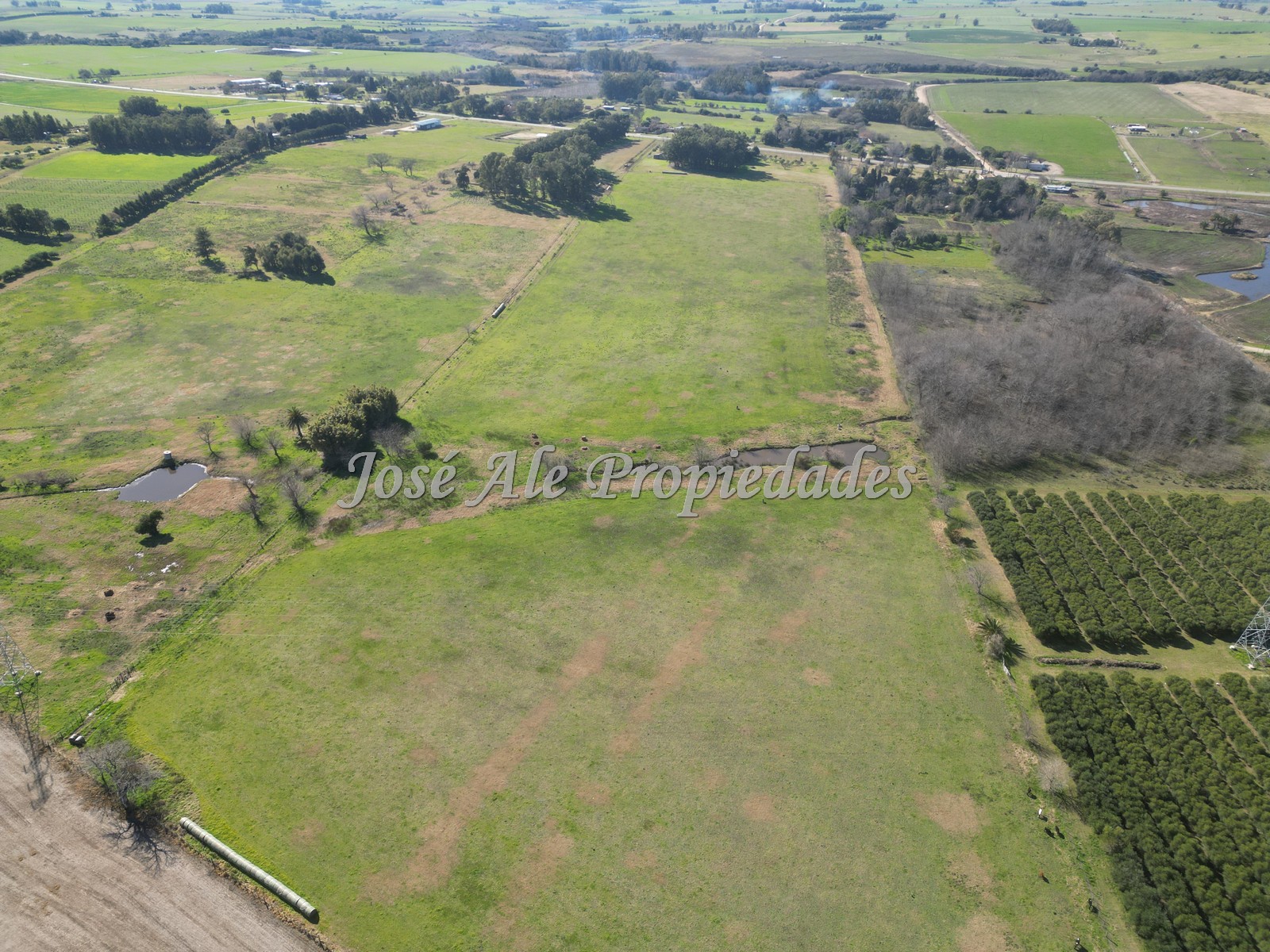 Imagen 6 de 4 Lotes de 3 hectáreas c/u sobre Ruta 21, Colonia.