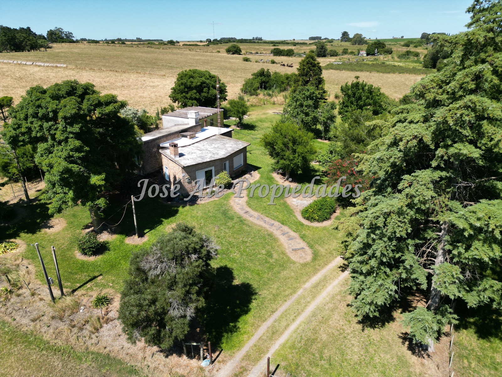 Imagen 1 de Campo de 4HAS y 8.322m, con casa de 3 dormitorios ubicado entre Ruta N°1 y Juan Lacaze, Colonia.