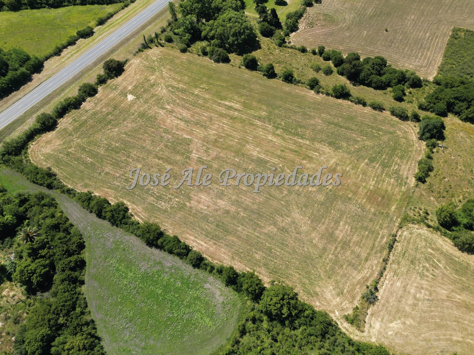 Imagen 9 de Campo de 4HAS y 8.322m, con casa de 3 dormitorios ubicado entre Ruta N°1 y Juan Lacaze, Colonia.