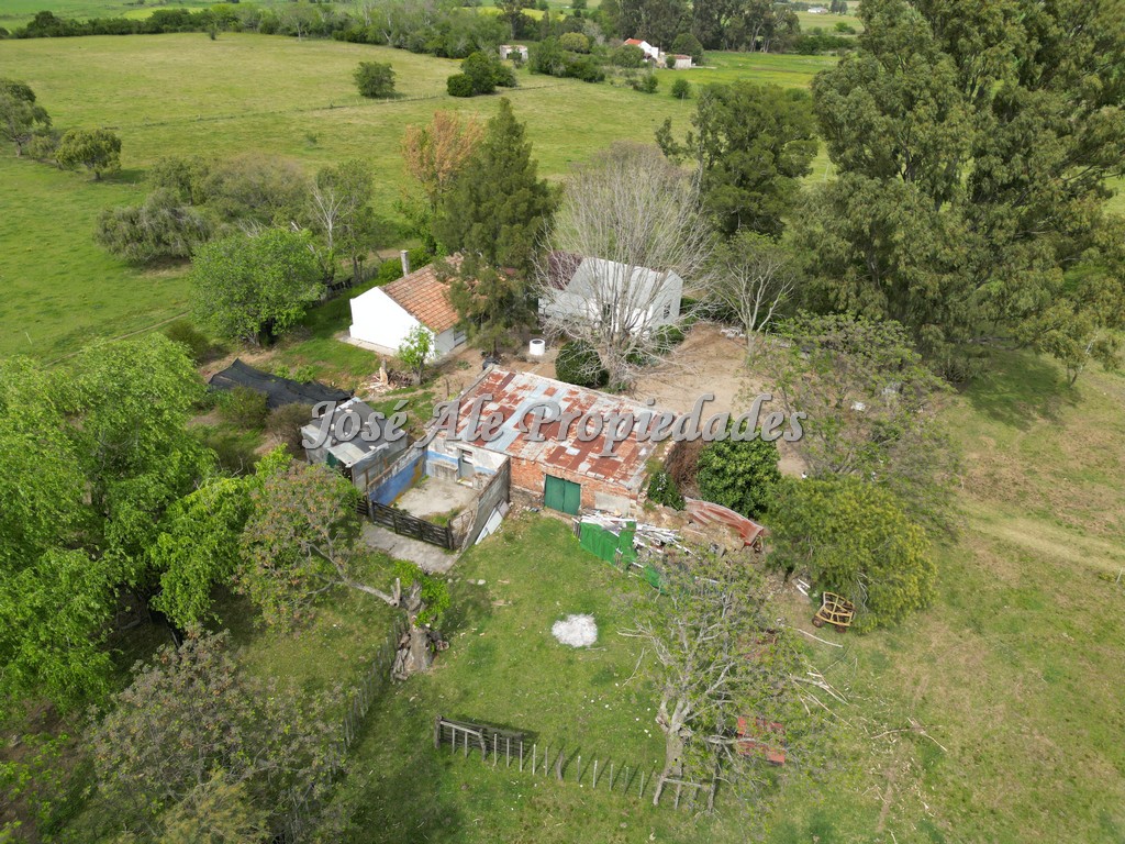 Imagen 2 de NUEVO PRECIO! Campo de 33.5 HA ubicado en Paso Antolín, Colonia.