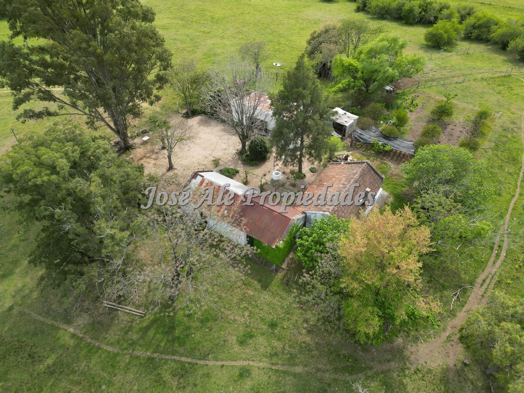 Imagen 5 de NUEVO PRECIO! Campo de 33.5 HA ubicado en Paso Antolín, Colonia.