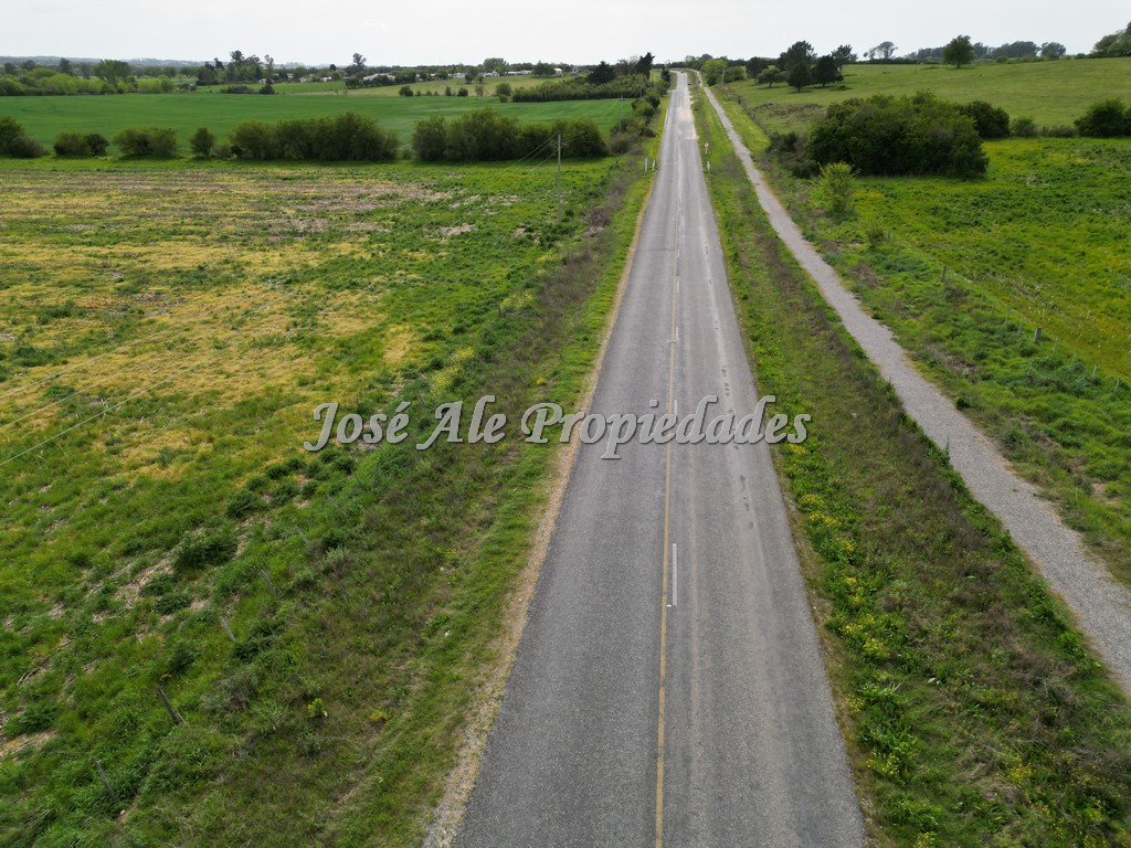 Imagen 6 de NUEVO PRECIO! Campo de 33.5 HA ubicado en Paso Antolín, Colonia.