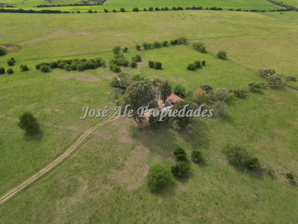 Imagen 7 de NUEVO PRECIO! Campo de 33.5 HA ubicado en Paso Antolín, Colonia.