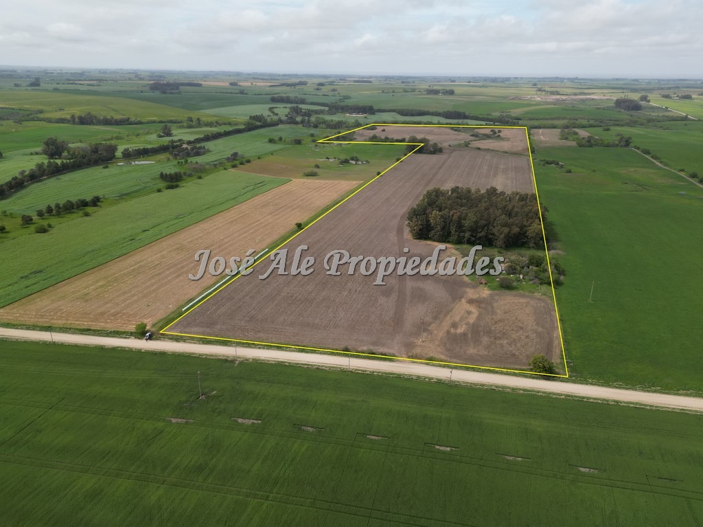 Imagen 1 de Campo agrícola ganadero de 41.5 HA ubicado en Piedra de los Indios.