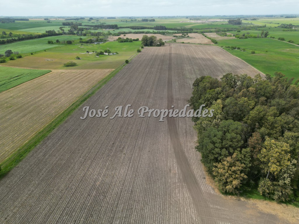 Imagen 10 de Campo agrícola ganadero de 41.5 HA ubicado en Piedra de los Indios.