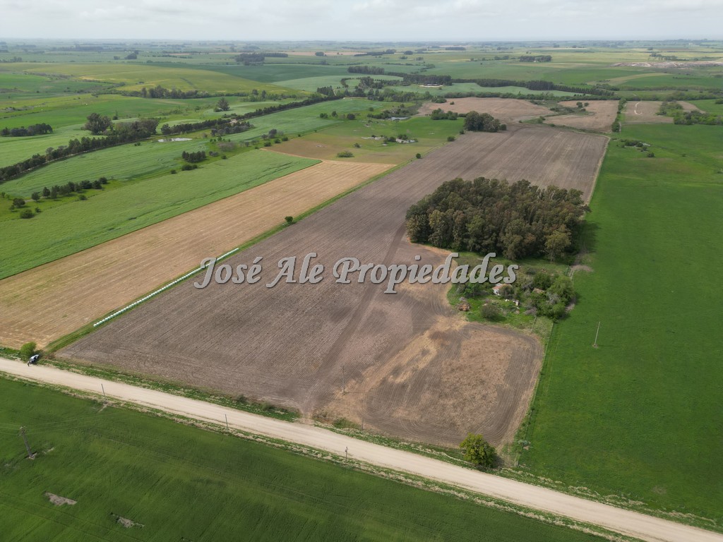 Imagen 2 de Campo agrícola ganadero de 41.5 HA ubicado en Piedra de los Indios.