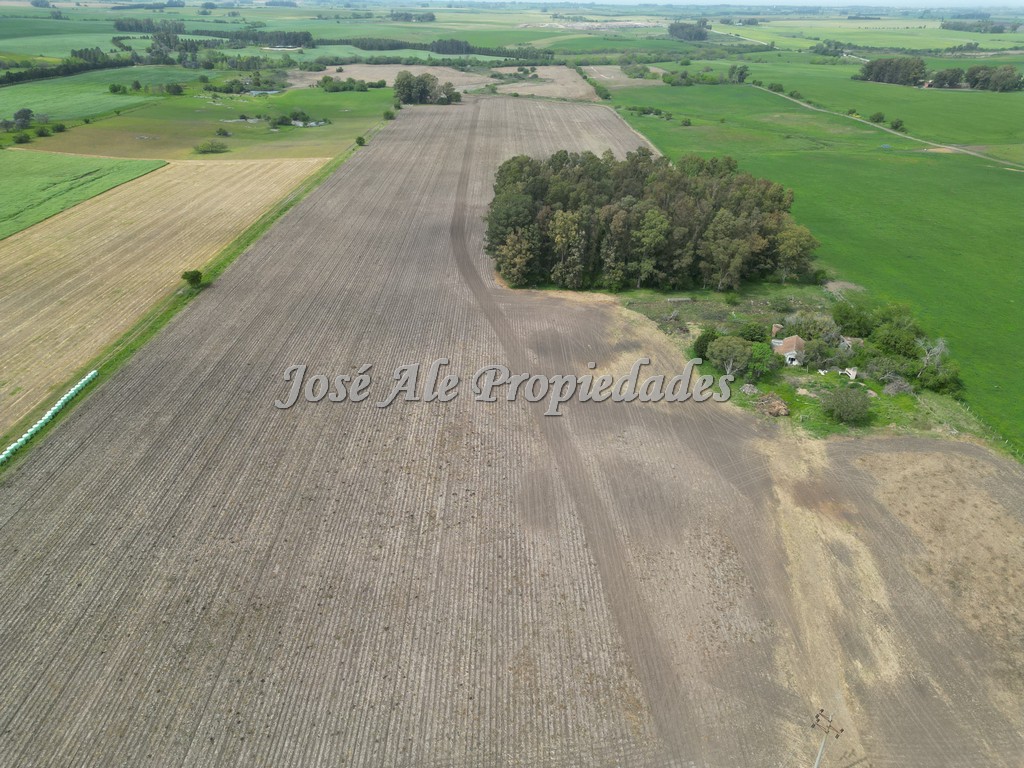Imagen 4 de Campo agrícola ganadero de 41.5 HA ubicado en Piedra de los Indios.