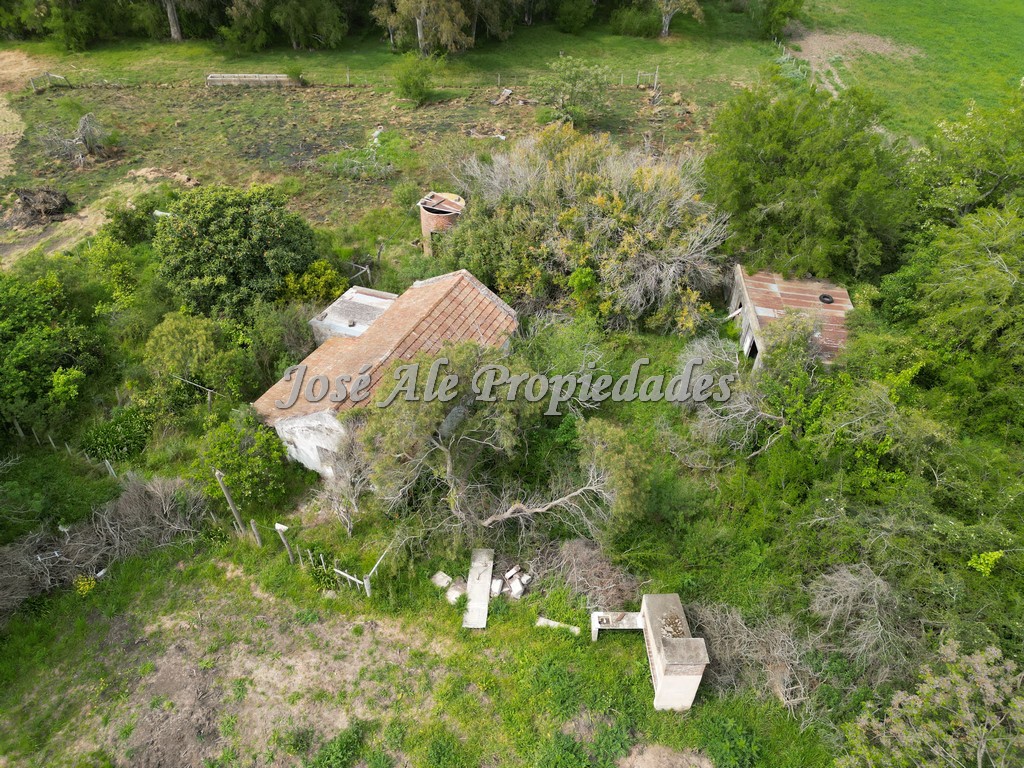 Imagen 7 de Campo agrícola ganadero de 41.5 HA ubicado en Piedra de los Indios.