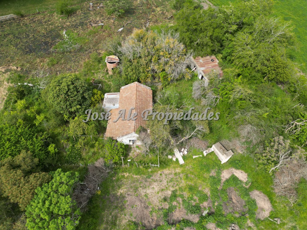 Imagen 8 de Campo agrícola ganadero de 41.5 HA ubicado en Piedra de los Indios.