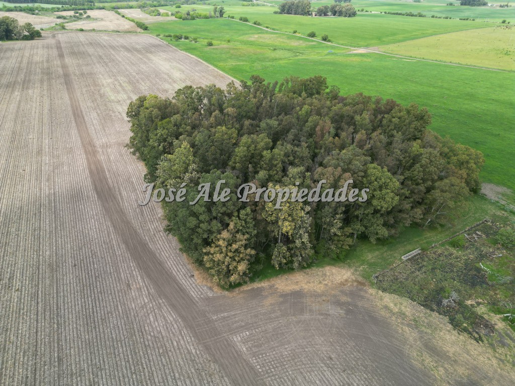 Imagen 9 de Campo agrícola ganadero de 41.5 HA ubicado en Piedra de los Indios.