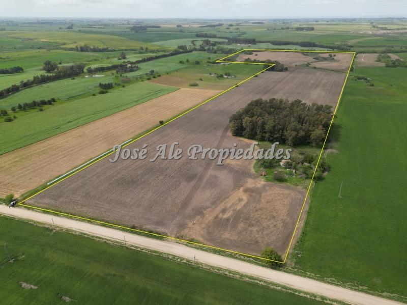 Campo agrícola ganadero de 41.5 HA ubicado en Piedra de los Indios.