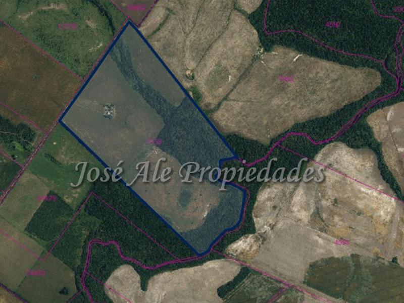 Campo de 49 HA Agricola/Ganadero con costa sobre Arroyo de las vacas.