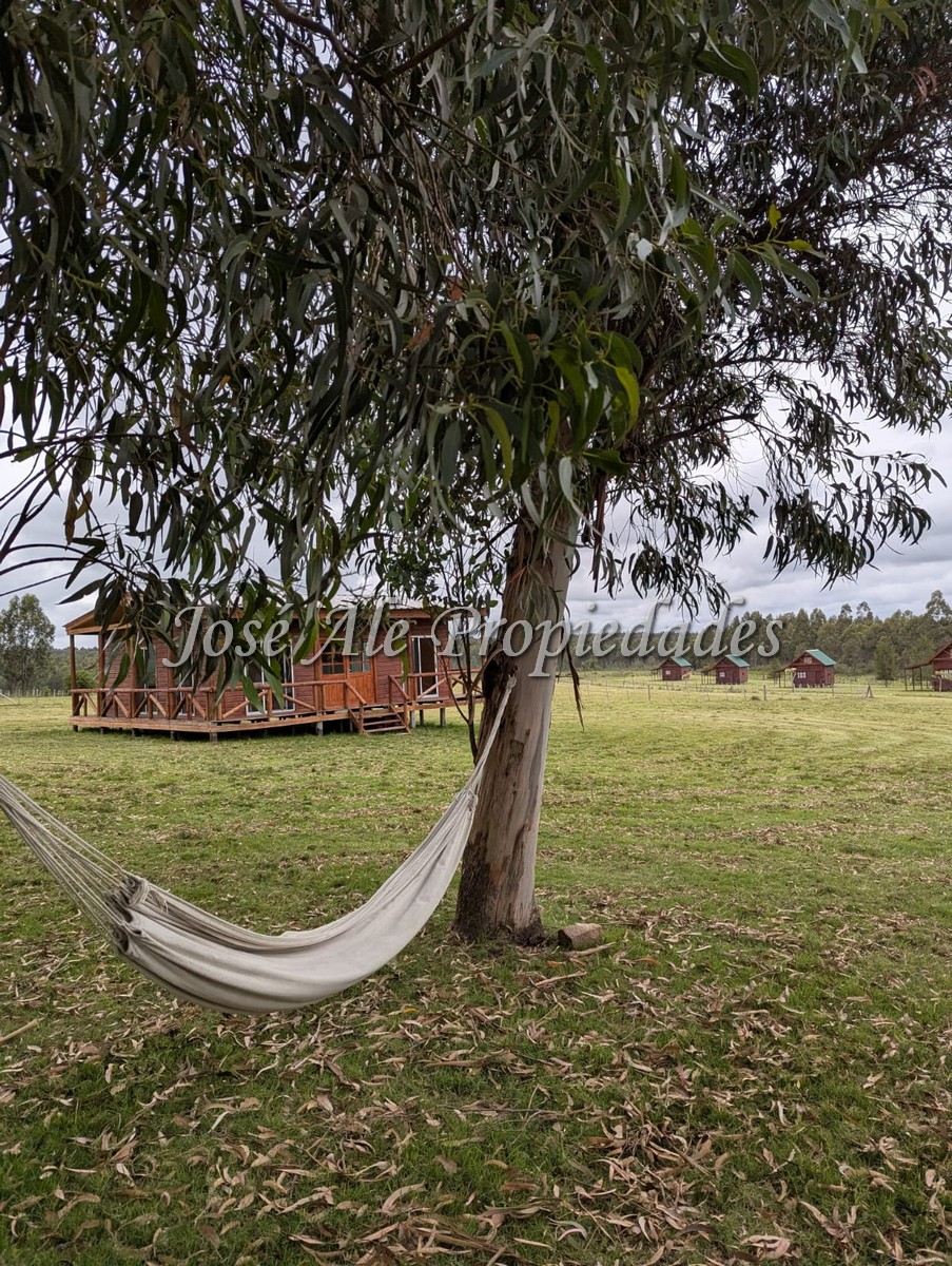 Imagen 10 de Hotel de Campo / Punta del Este – Maldonado