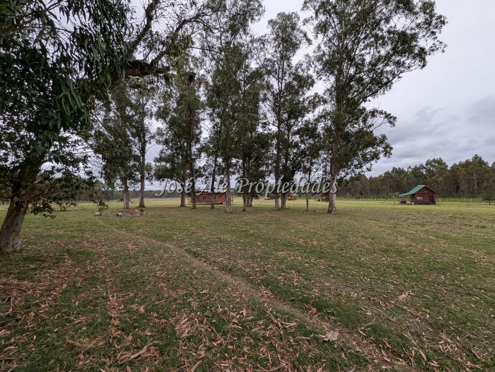 Imagen 3 de Hotel de Campo / Punta del Este – Maldonado