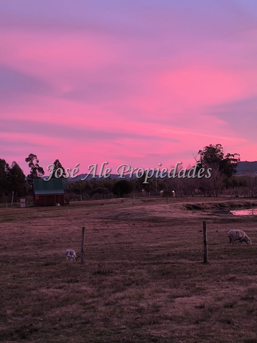Imagen 6 de Hotel de Campo / Punta del Este – Maldonado