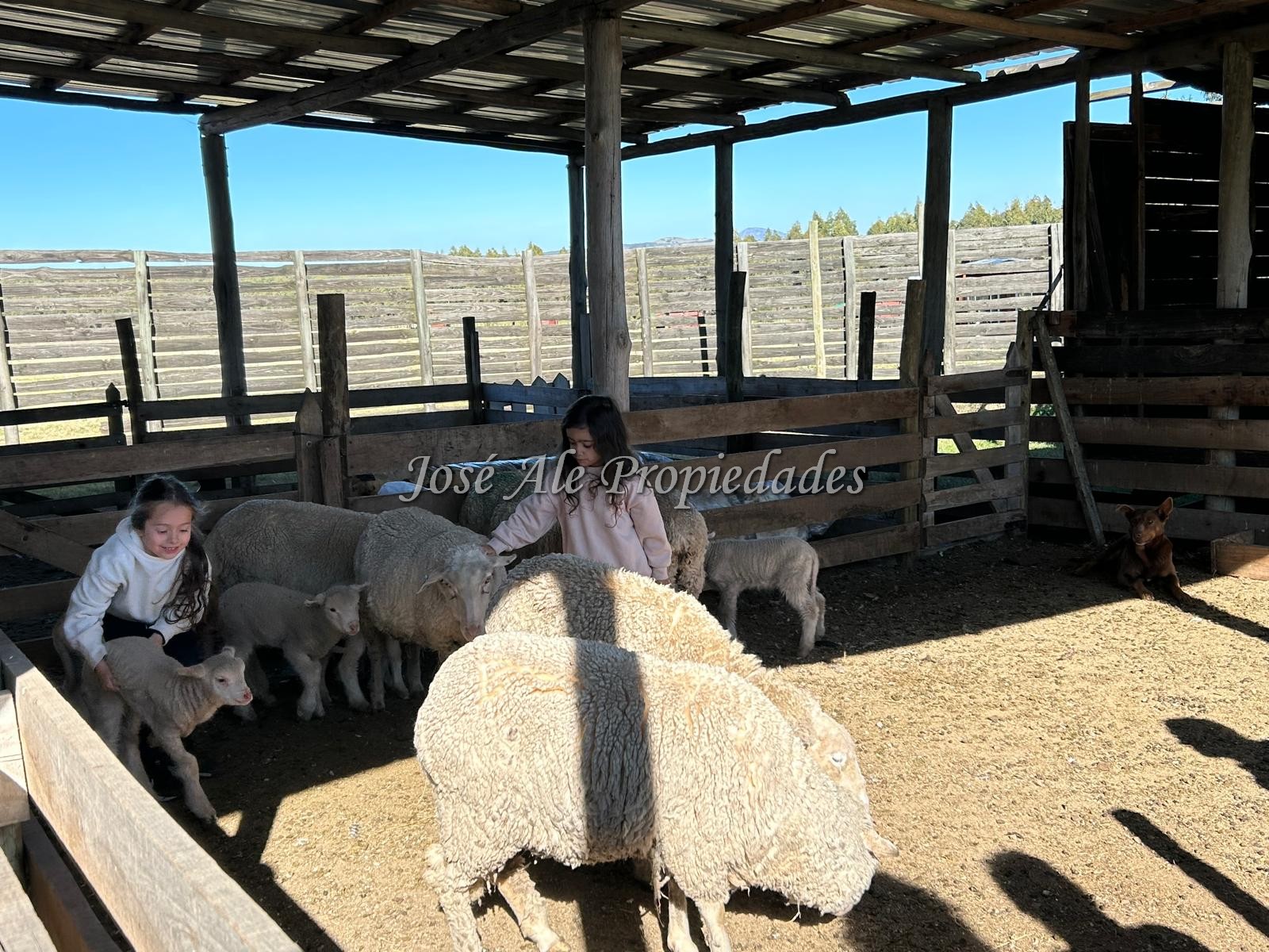 Imagen 7 de Hotel de Campo / Punta del Este – Maldonado