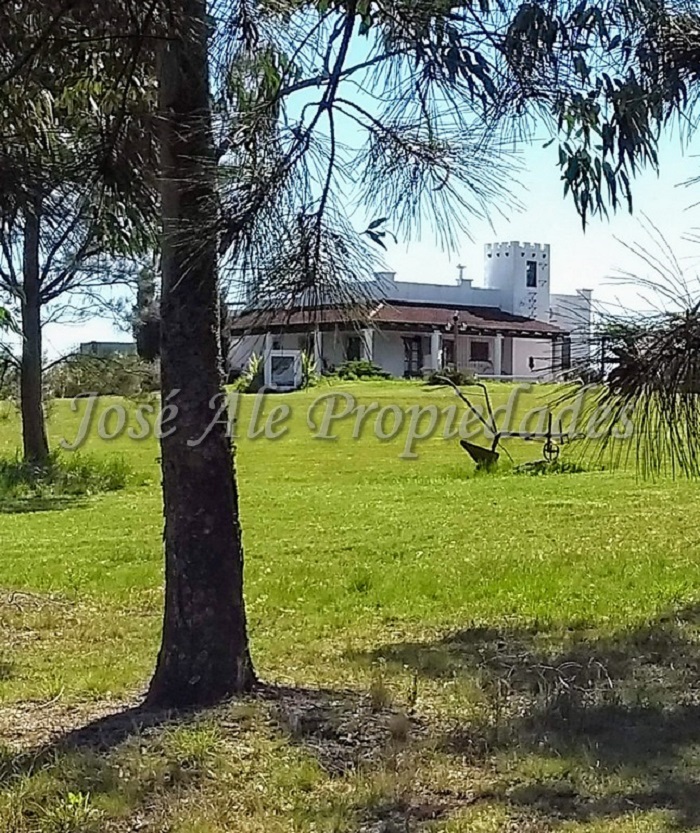 Imagen 6 de Bonita chacra de 9 HA ubicada en Paso Antolín, en inmejorable estado. A tan solo 30 min del centro de la ciudad de Colonia.