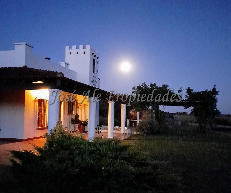 Imagen 1 de EN VENTA Bonita chacra de 9 HA ubicada en Paso Antolín, en inmejorable estado. A tan solo 30 min del centro de la ciudad de Colonia.