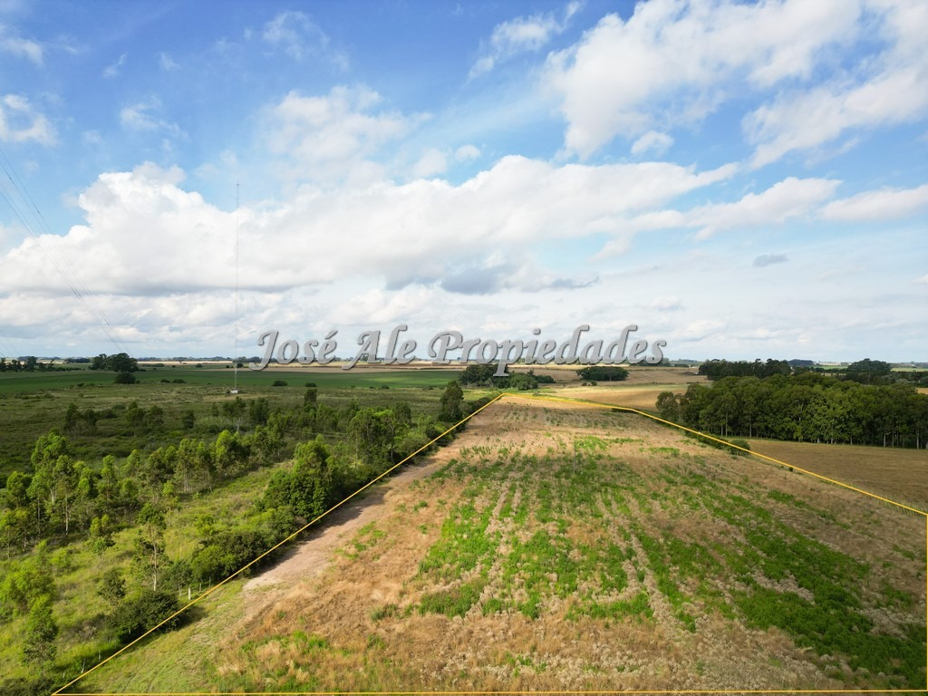 Imagen 3 de Campo de 5 HA ubicado sobre ruta 21, a 10 km del centro de la ciudad de Colonia.