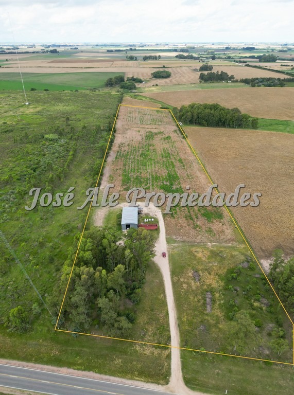 Imagen 8 de Campo de 5 HA ubicado sobre ruta 21, a 10 km del centro de la ciudad de Colonia.