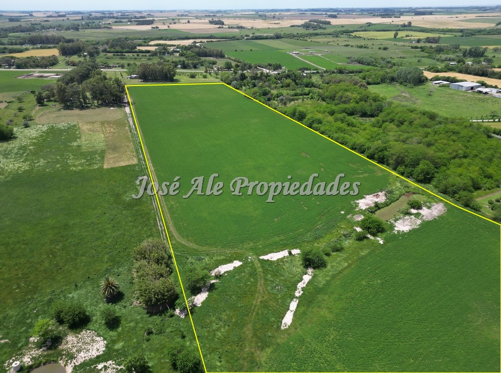 Imagen 10 de Campo Agrícola de 13 Has ubicado sobre Ruta 21 a pocos km del supermercado El Dorado y de Colonia del Sacramento.