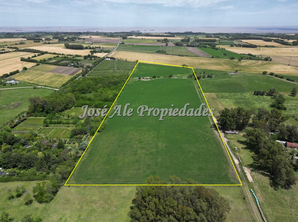 Imagen 3 de Campo Agrícola de 13 Has ubicado sobre Ruta 21 a pocos km del supermercado El Dorado y de Colonia del Sacramento.