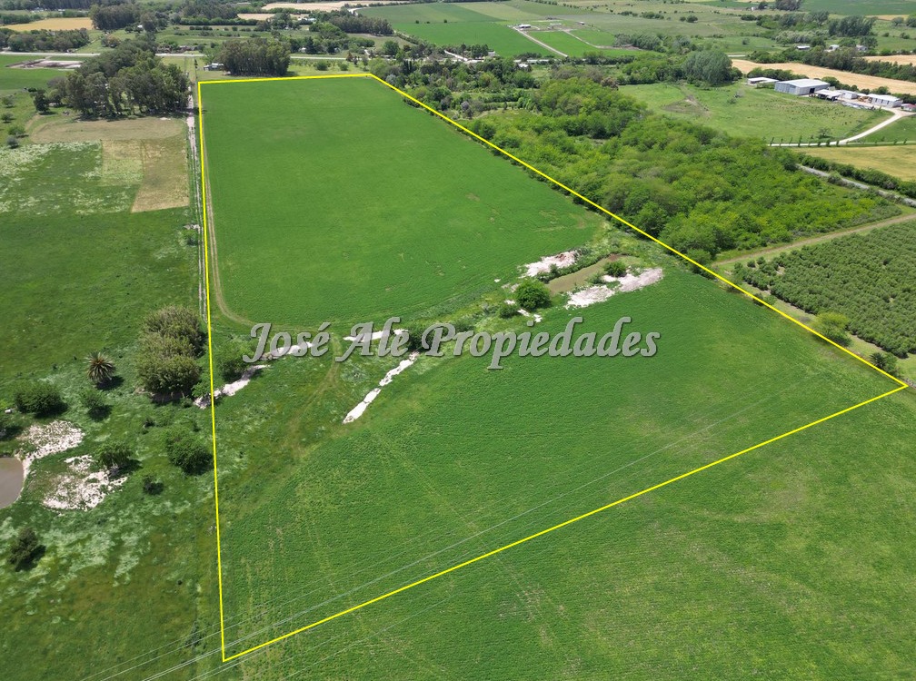Imagen 5 de Campo Agrícola de 13 Has ubicado sobre Ruta 21 a pocos km del supermercado El Dorado y de Colonia del Sacramento.