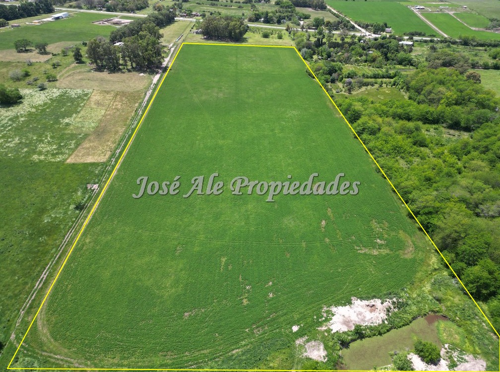 Imagen 6 de Campo Agrícola de 13 Has ubicado sobre Ruta 21 a pocos km del supermercado El Dorado y de Colonia del Sacramento.