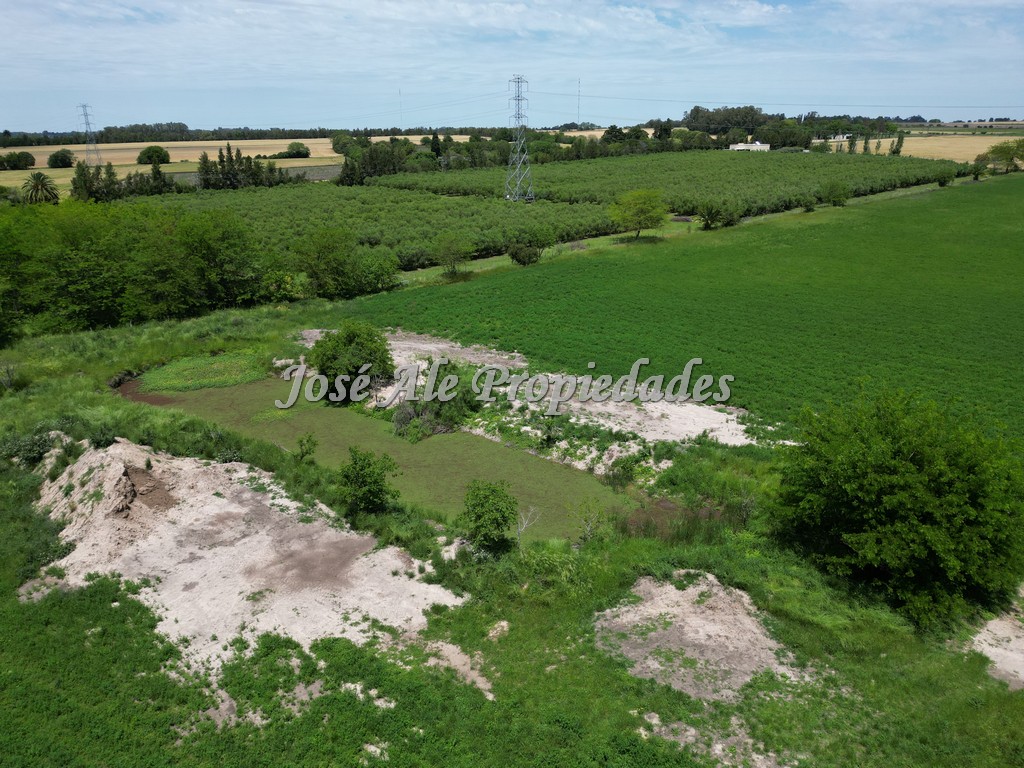 Imagen 9 de Campo Agrícola de 13 Has ubicado sobre Ruta 21 a pocos km del supermercado El Dorado y de Colonia del Sacramento.