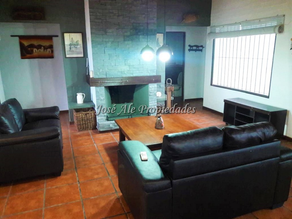 Imagen 4 de Chacra - Campo agrícola en venta de 10 HA de fácil acceso buen camino, a 1,5 km de ruta 50 asfaltada.