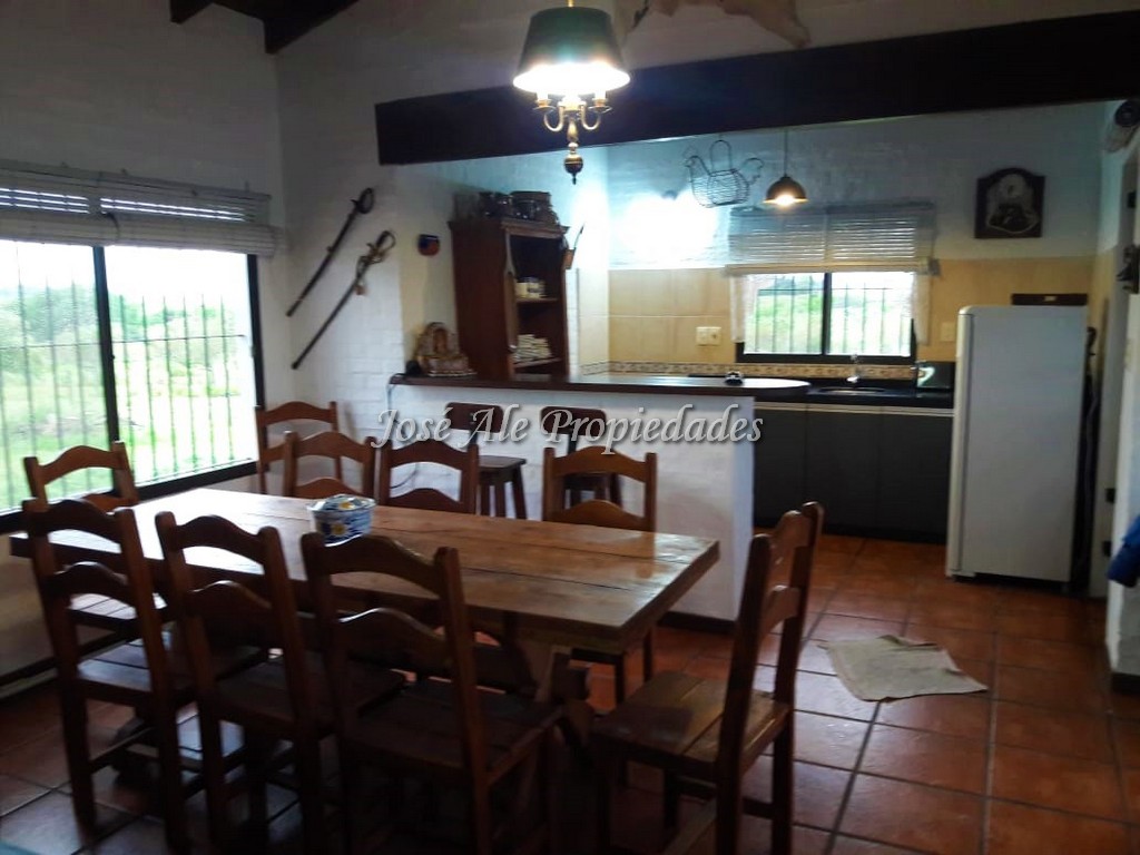 Imagen 5 de Chacra - Campo agrícola en venta de 10 HA de fácil acceso buen camino, a 1,5 km de ruta 50 asfaltada.